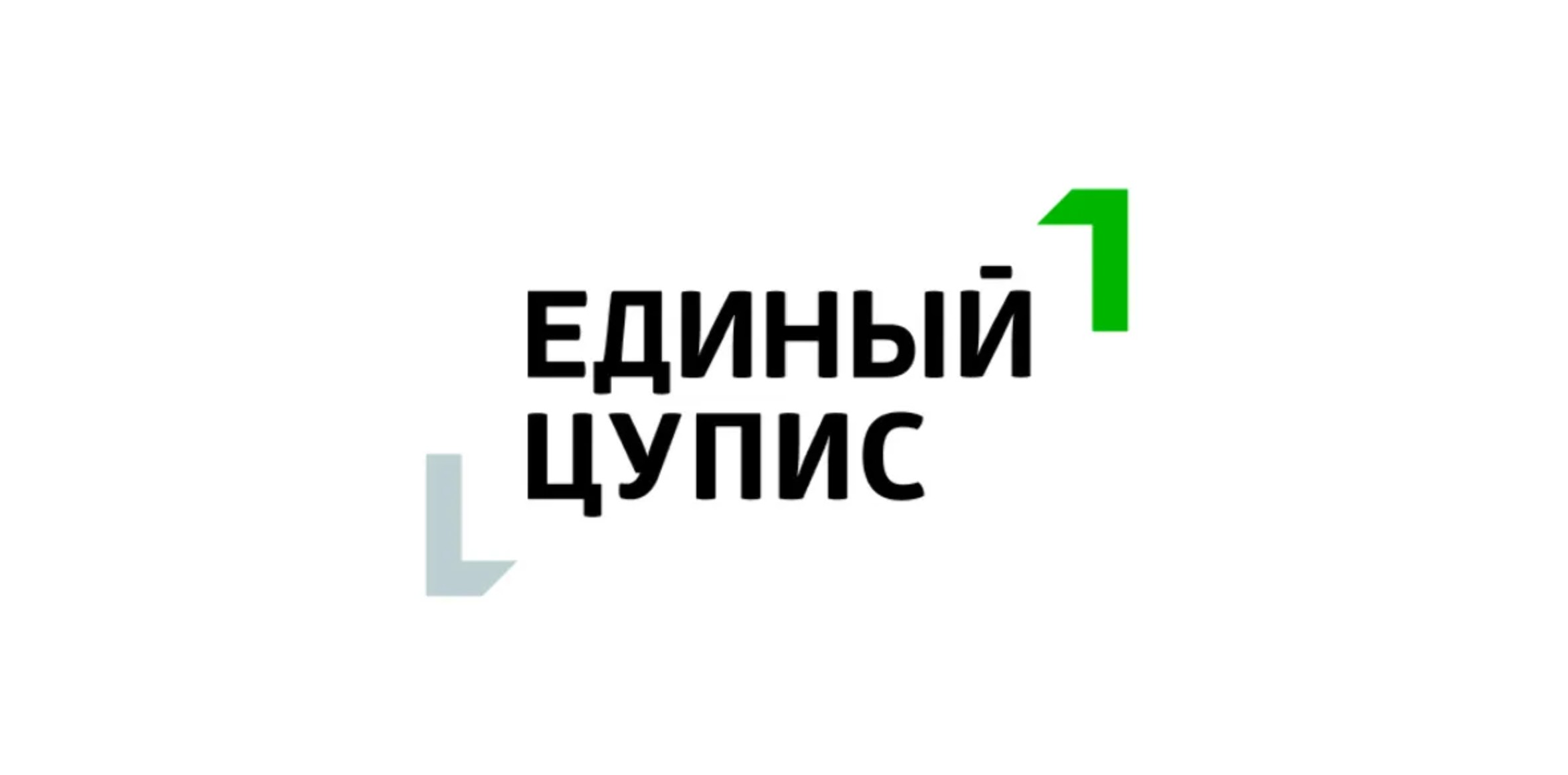 Единый ЦУПИС - что это такое, как пользоваться, личный кабинет