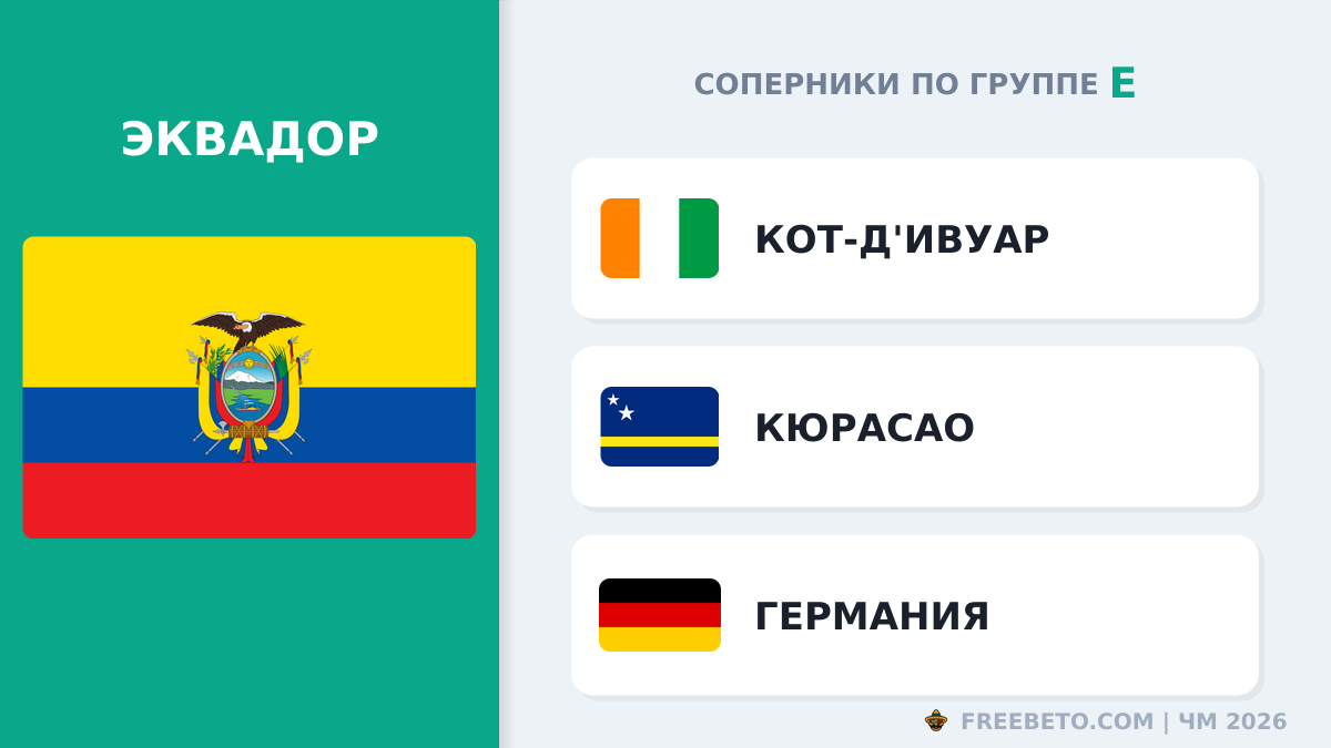 Эквадор соперники по группе E