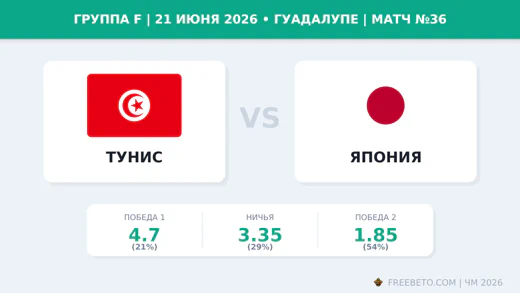 Матч Тунис — Япония